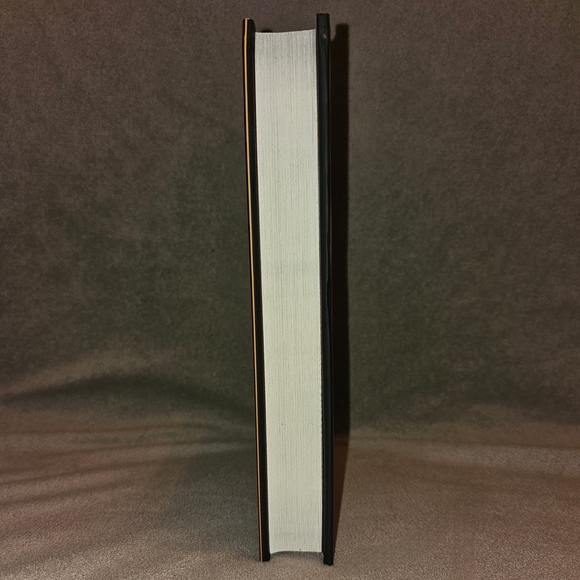 DISNEY Mirror, Mirror A Twisted Tale Jen Calonita 2019 Hardcover - Picture 11 of 11